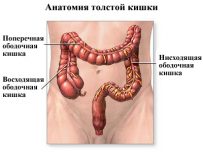 Факторы развития псевдомембранозного колита и его лечение