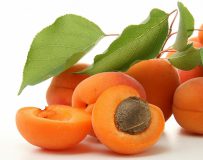 Можно ли есть абрикосы при панкреатите?