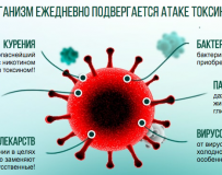 Изучаем инструкцию по применению Антитоксина Нано