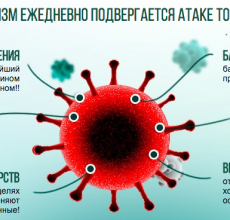 Изучаем инструкцию по применению Антитоксина Нано