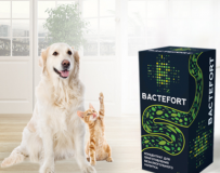Врачи и пациенты с отзывами о Bactefort