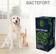 Врачи и пациенты с отзывами о Bactefort