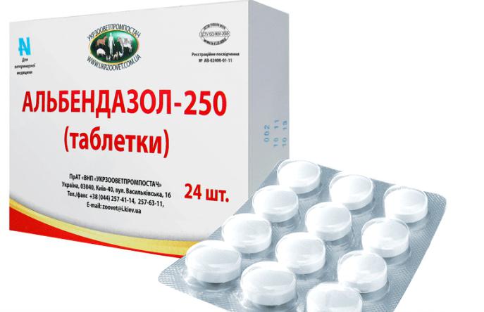 Альбендазол - средство от глистов