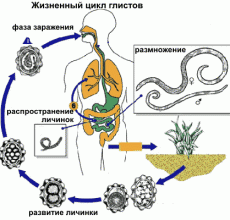 Способы выявления паразитов в организме человека